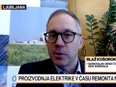Košorok: 'Elektrike bo tudi ob remontu NEK zagotovo dovolj'